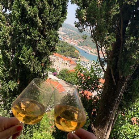 Apartments Nono Dubrovnik Eksteriør bilde